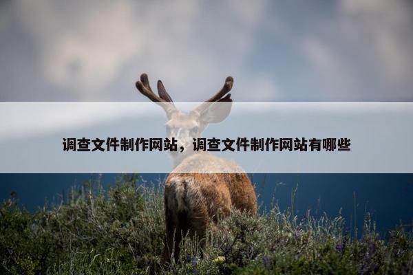 调查文件制作网站，调查文件制作网站有哪些