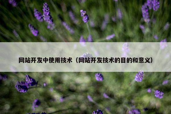 网站开发中使用技术（网站开发技术的目的和意义）