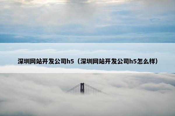 深圳网站开发公司h5（深圳网站开发公司h5怎么样）