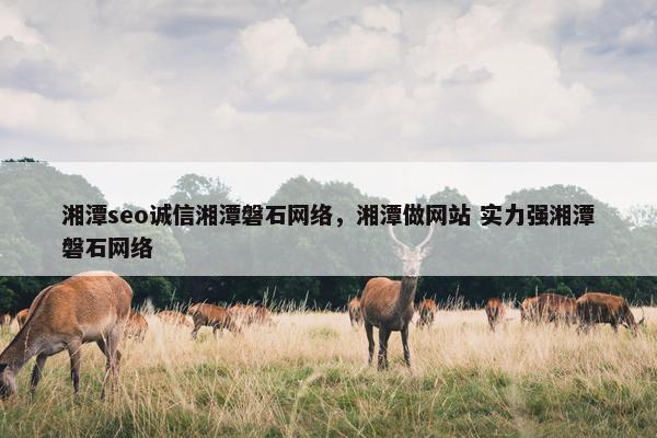 湘潭seo诚信湘潭磐石网络，湘潭做网站 实力强湘潭磐石网络