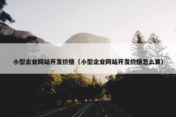 小型企业网站开发价格（小型企业网站开发价格怎么算）