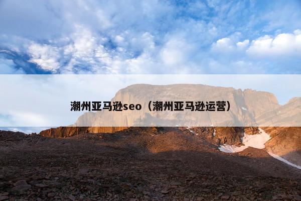 潮州亚马逊seo（潮州亚马逊运营）