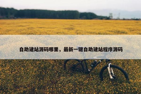 自助建站源码哪里，最新一键自助建站程序源码