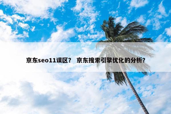 京东seo11误区？ 京东搜索引擎优化的分析？