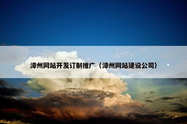 漳州网站开发订制推广（漳州网站建设公司）