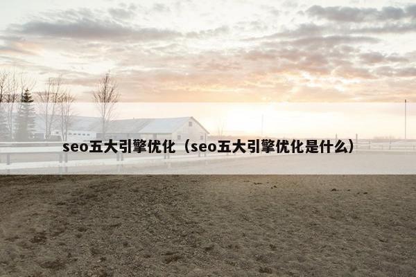 seo五大引擎优化（seo五大引擎优化是什么）