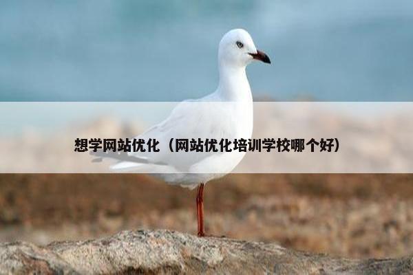 想学网站优化（网站优化培训学校哪个好）