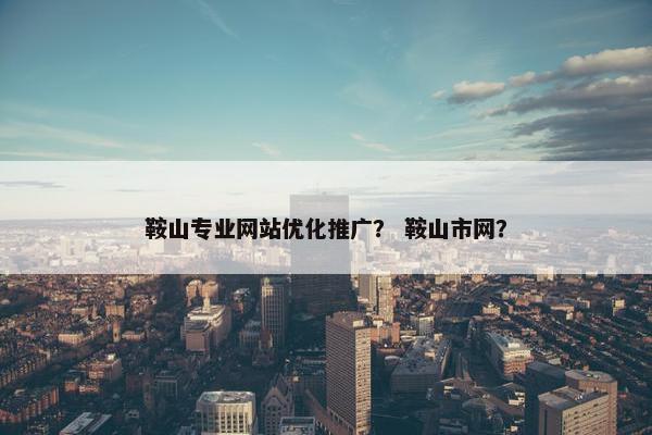 鞍山专业网站优化推广？ 鞍山市网？
