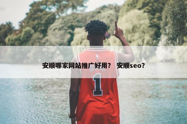 安顺哪家网站推广好用？ 安顺seo？
