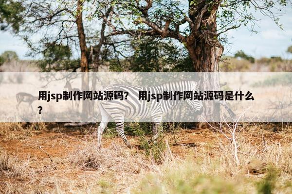 用jsp制作网站源码？ 用jsp制作网站源码是什么？