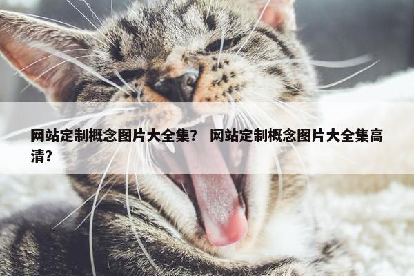 网站定制概念图片大全集？ 网站定制概念图片大全集高清？