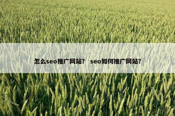 怎么seo推广网站？ seo如何推广网站？