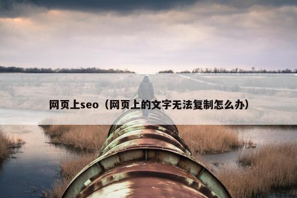 网页上seo（网页上的文字无法复制怎么办）