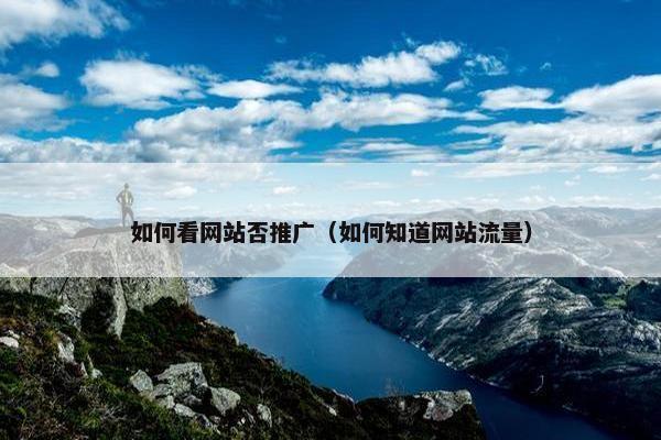 如何看网站否推广（如何知道网站流量）