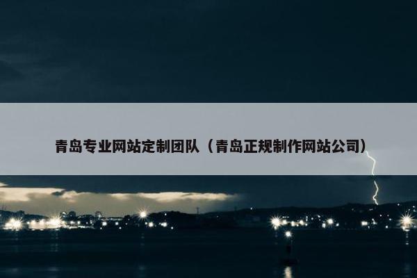 青岛专业网站定制团队（青岛正规制作网站公司）