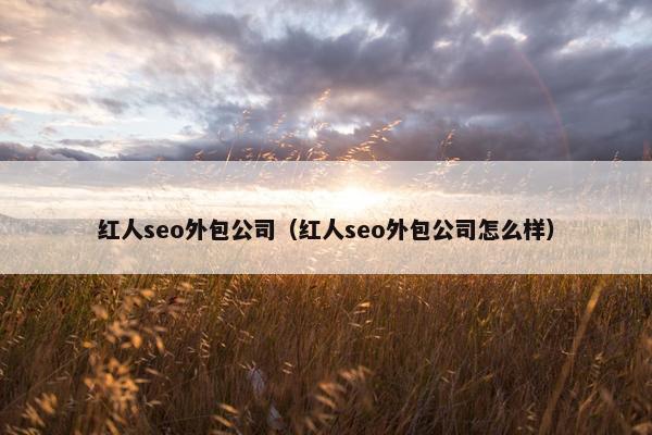 红人seo外包公司（红人seo外包公司怎么样）