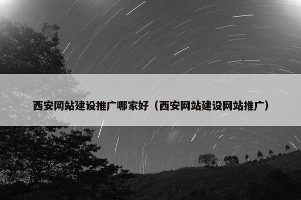 西安网站建设推广哪家好（西安网站建设网站推广）
