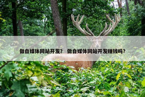 做自媒体网站开发？ 做自媒体网站开发赚钱吗？