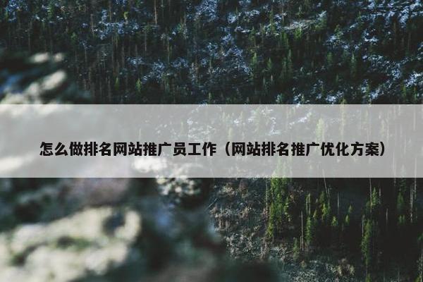 怎么做排名网站推广员工作（网站排名推广优化方案）