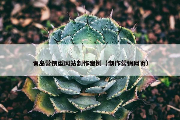 青岛营销型网站制作案例（制作营销网页）