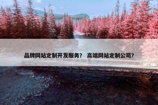 品牌网站定制开发服务？ 高端网站定制公司？