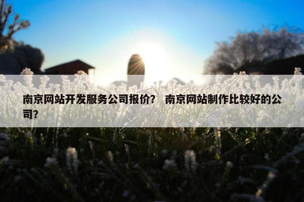 南京网站开发服务公司报价？ 南京网站制作比较好的公司？