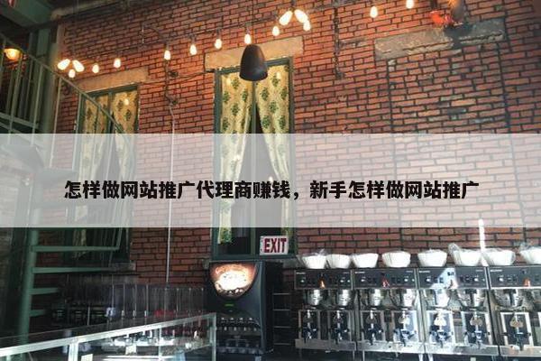 怎样做网站推广代理商赚钱，新手怎样做网站推广