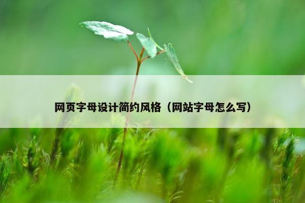 网页字母设计简约风格（网站字母怎么写）