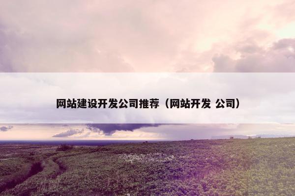 网站建设开发公司推荐（网站开发 公司）
