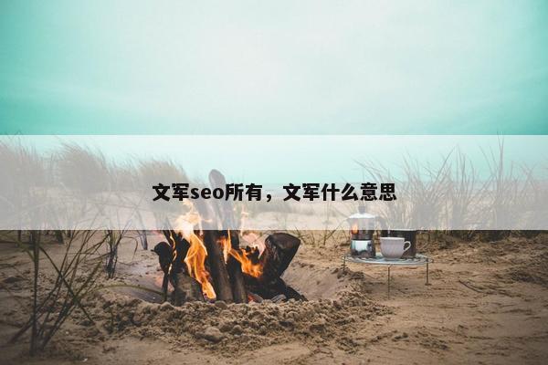 文军seo所有，文军什么意思