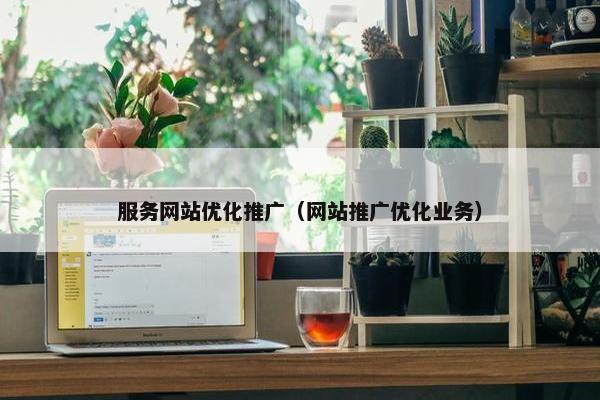 服务网站优化推广（网站推广优化业务）