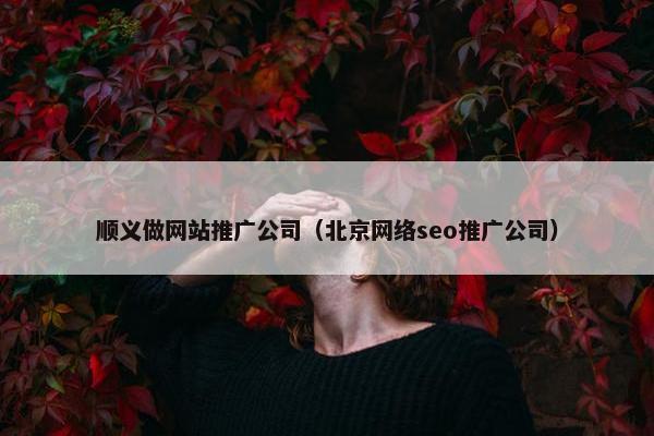 顺义做网站推广公司（北京网络seo推广公司）