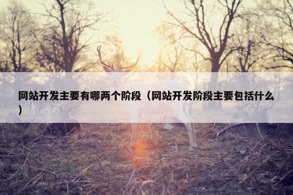 网站开发主要有哪两个阶段（网站开发阶段主要包括什么）