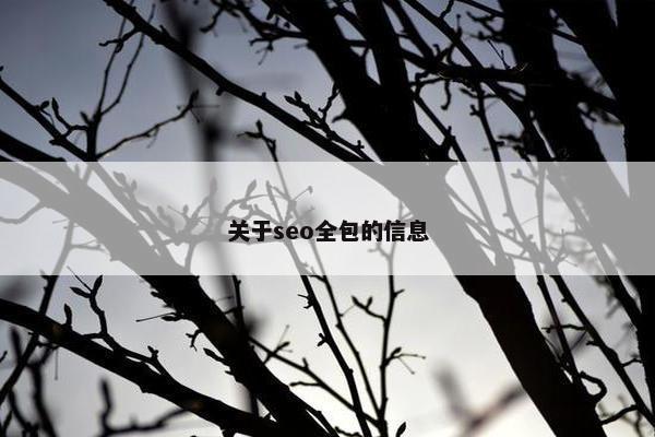关于seo全包的信息
