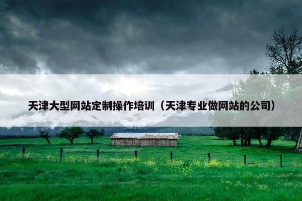 天津大型网站定制操作培训（天津专业做网站的公司）