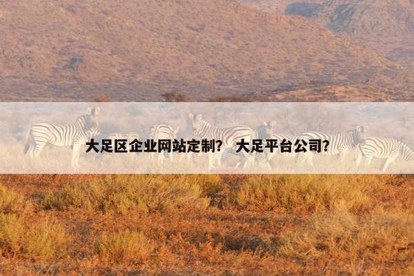 大足区企业网站定制？ 大足平台公司？
