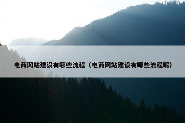 电商网站建设有哪些流程（电商网站建设有哪些流程呢）