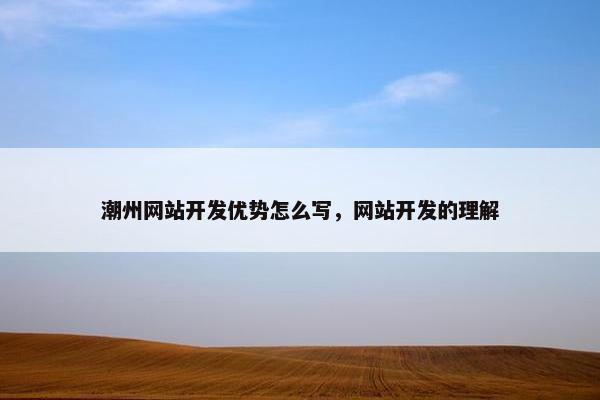 潮州网站开发优势怎么写，网站开发的理解