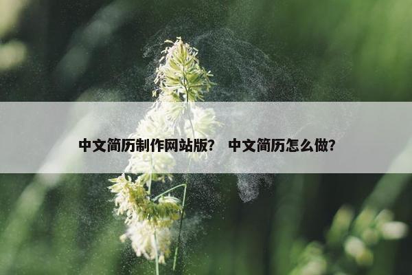 中文简历制作网站版？ 中文简历怎么做？