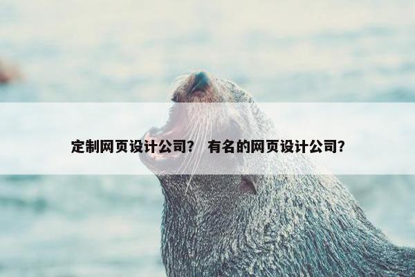 定制网页设计公司？ 有名的网页设计公司？