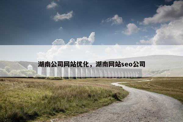 湖南公司网站优化，湖南网站seo公司