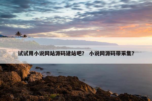 试试用小说网站源码建站吧？ 小说网源码带采集？