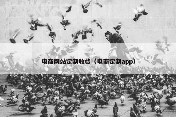 电商网站定制收费（电商定制app）