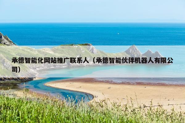 承德智能化网站推广联系人（承德智能伙伴机器人有限公司）