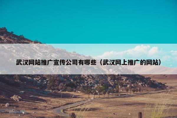 武汉网站推广宣传公司有哪些（武汉网上推广的网站）