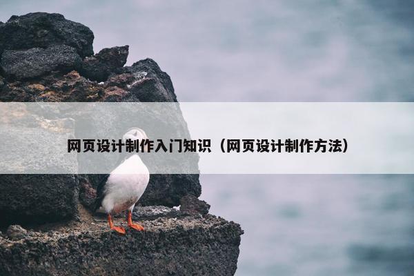 网页设计制作入门知识（网页设计制作方法）