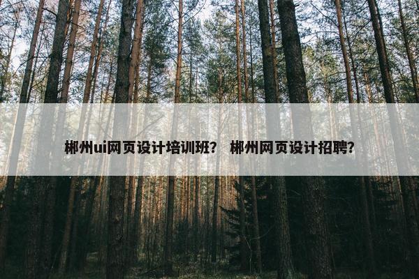 郴州ui网页设计培训班？ 郴州网页设计招聘？