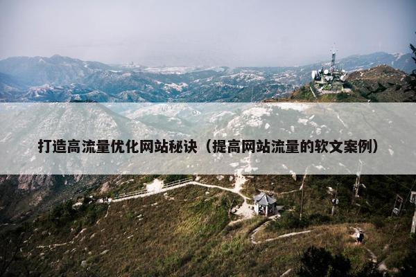 打造高流量优化网站秘诀（提高网站流量的软文案例）