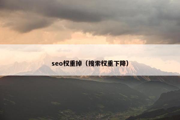 seo权重掉（搜索权重下降）