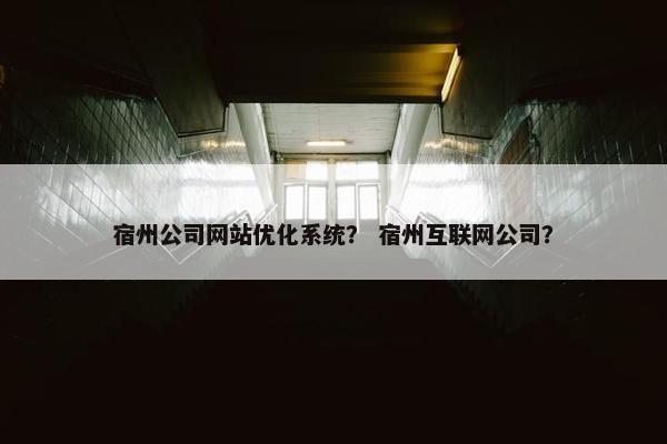 宿州公司网站优化系统？ 宿州互联网公司？